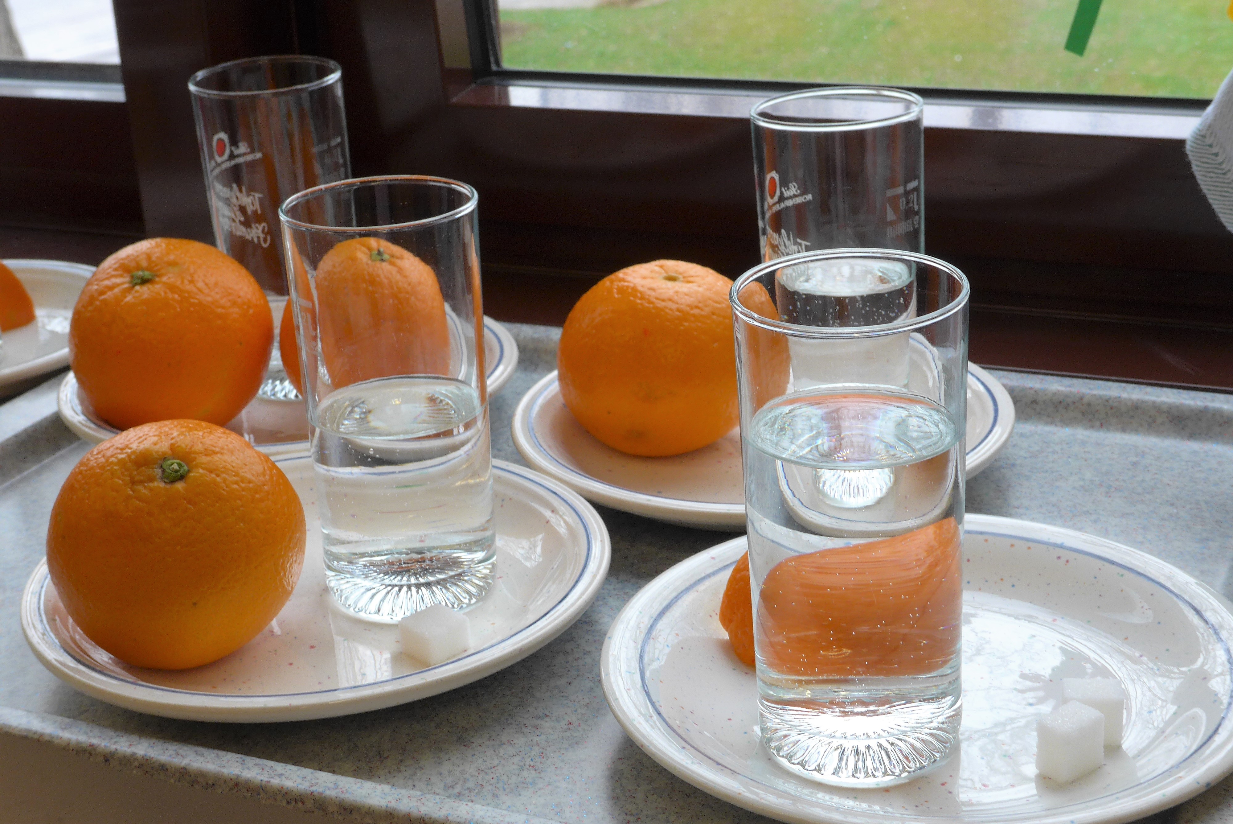 O-Saft-Tasting: Wir testeten und bewerteten Sensorik, Geruch und Geschmack verschiedener Orangengetränke.